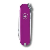 0.6223.52G Victorinox Classic - Tasty Grape (Purple)