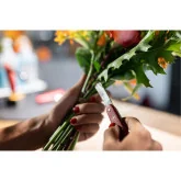 3.9050.22B1 Victorinox voćarski nož (ljubičasti)